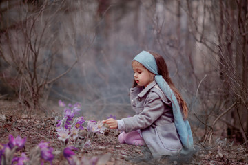 Little girl in the forest collects pasque