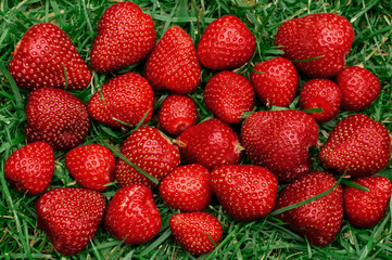 strawberries on the grass and flower