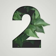 Nature concept. Creative number with green leaves on a gray background. Creative typography, Chapter in the presentation, template. 2 number two.
