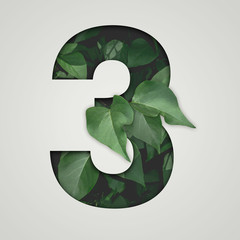 Nature concept. Creative number with green leaves on a gray background. Creative typography, Chapter in the presentation, template. 3 number three. - obrazy, fototapety, plakaty
