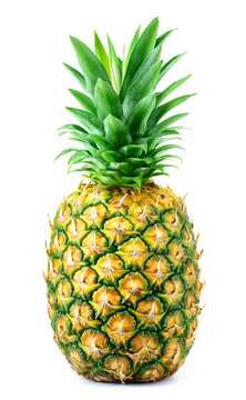 Pineapple isolate. Pineapple on white background. Whole pineapple with leaves.