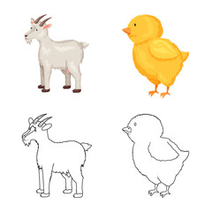 Vector design of breeding and kitchen  icon. Set of breeding and organic  stock symbol for web.