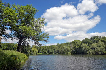 jungfernheidesee