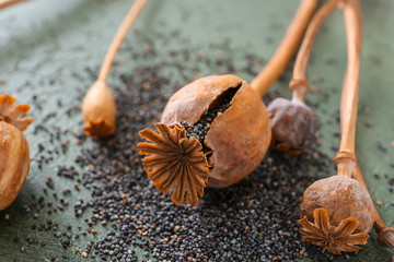 Dry poppy heads on table, closeup