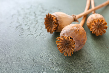 Dry poppy heads on table, closeup
