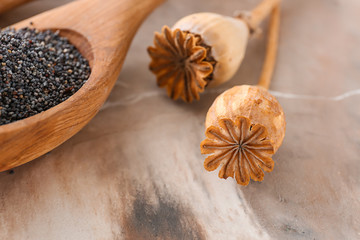 Spoon with poppy seeds and dry heads on table, closeup