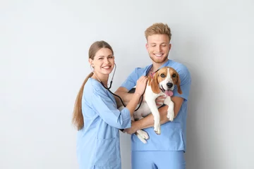 Peel and stick wall murals Veterinarians Veterinarians with cute dog on light background