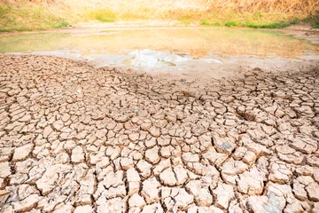 Rolgordijnen Cracked soil in the pond in summer season, drought in Thailand © nungning20