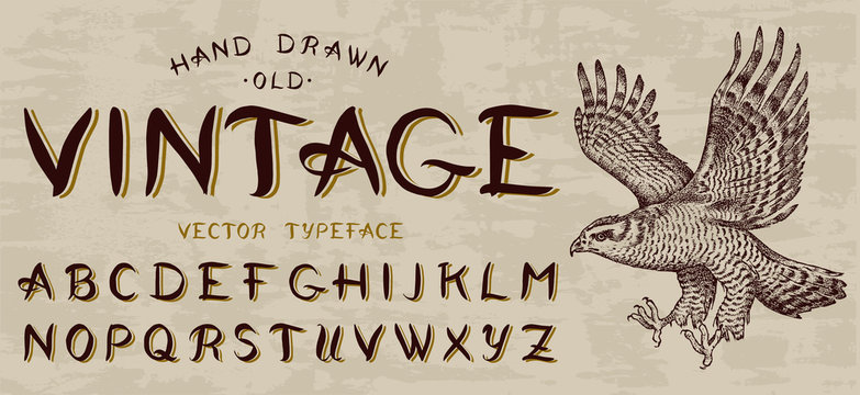 Calligraphic Vintage Font, Capital Letters. Bird Eagle, Template For Emblem And Logo. Alphabet On Retrobackground. Gothic Symbols Types. Outlined Version.