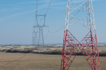 Electricity poles over a field with spring blossom bushes