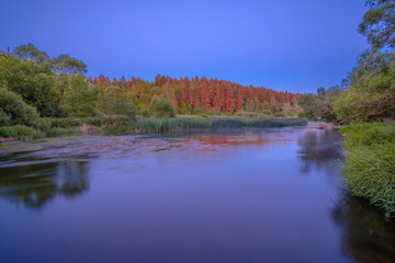Picturesque Central Russian landscape with a thin layer of fog creeping along the forest along the river bank. 