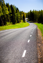 Road in the forest 2