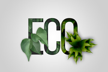 Eco lettering. Modern text and creative typography. Nature concept design with green leaves. Design print for t-shirt,, badges, sticker, greeting card, banner, posters, flyers.