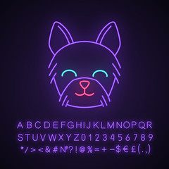 Yorkshire Terrier cute kawaii neon light character