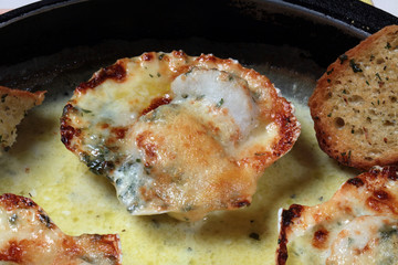 Überbackene Jakobsmuscheln © Jörg Lantelme