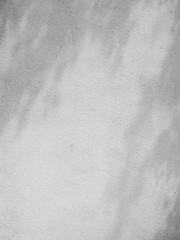 Naklejka premium white stone wall with shadow leaf texture