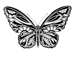Fototapeta na wymiar Butterfly graphics, suitable for illustrations, and for further work with her.