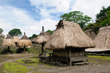 Fototapeta na wymiar Traditional grass hut in the Bena minority village on the Flores island near Bajawa