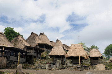 Fototapeta na wymiar Traditional grass hut in the Bena minority village on the Flores island near Bajawa