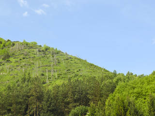 Fototapeta na wymiar .green mountain against the blue sky. landscape.