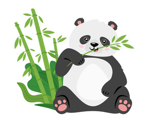 Cute panda eating bamboo stems flat vector illustration © thruer