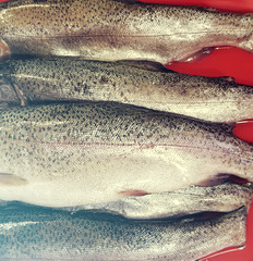 Fresh raw gutted and peeled trout fish and a slice of lemon on a red tray ready for cooking gourmet seafood