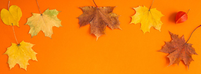 Naklejka na ściany i meble Dry autumn leaves as a frame template