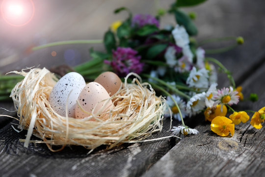 Osternest mit Ostereiern, Vogeleiern, Dekoration, bunten Blumen im Frühling