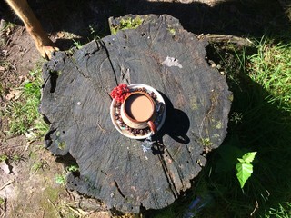 A cup of coffee is beautifully laid out in the grass