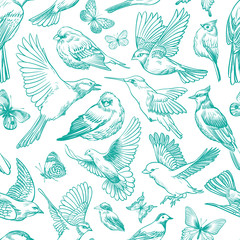 Blue birds and butterflies seamless pattern