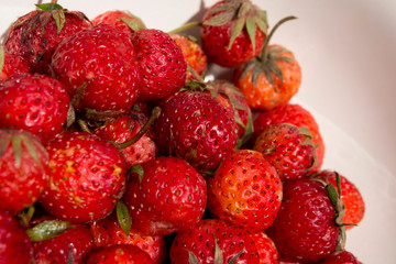 ripe red strawberries close up