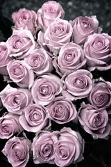 Obraz na płótnie Canvas Background Composition of Delicate Pink Pastel Roses