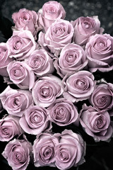 Background Composition of Delicate Pink Pastel Roses