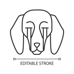 Beagle cute kawaii linear character