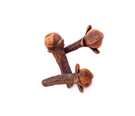 dry cloves on white background