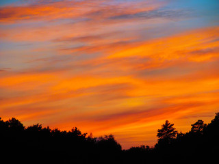 Landscape with sunset and silhouettes of trees. Beautiful view of bright colorful sky happened on evening decline in the summer evening.