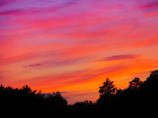 Landscape with sunset and silhouettes of trees. Beautiful view of bright colorful sky happened on evening decline in the summer evening.
