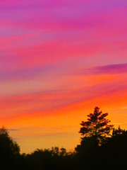 Landscape with sunset and silhouettes of trees. Beautiful view of bright colorful sky happened on evening decline in the summer evening.