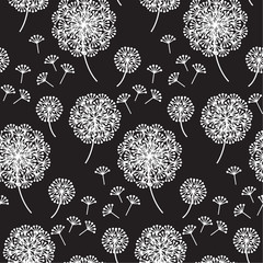 black and white abstract dandelion flowers