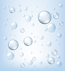 Transparent vector realistic water drops on light  background