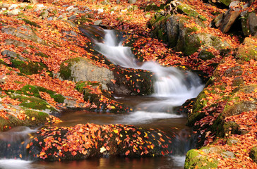 River waterfall in autumn leaves shot with slow shutter speed