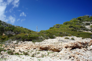 East of the lighthouse Punta des Moscarter, begins a desert plateau Punta Del Gost, composed of old...
