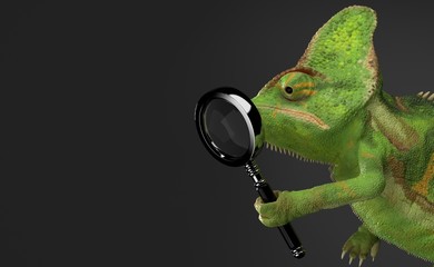 Chameleon holding magnifying glass © Talaj