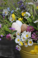 Obraz na płótnie Canvas Ostereier, Blumenstrauß, Vogelei mit bunten Blumen aus dem Garten im Frühling