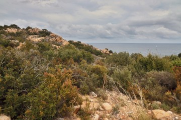 Fototapeta premium Salita al faro