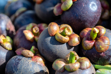 Many mangosteen to sell at the markets in Thailand