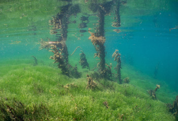 Rhein Underwater