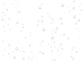 Vector rain water drops on white background. Pure realistic droplets condensed.  - obrazy, fototapety, plakaty