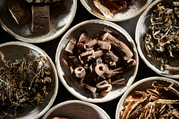 Chinese herbal medicine 