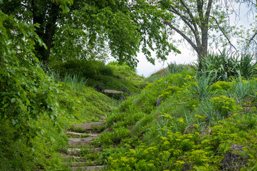 Fototapeta na wymiar A stone path through the plantings in the botanical garden